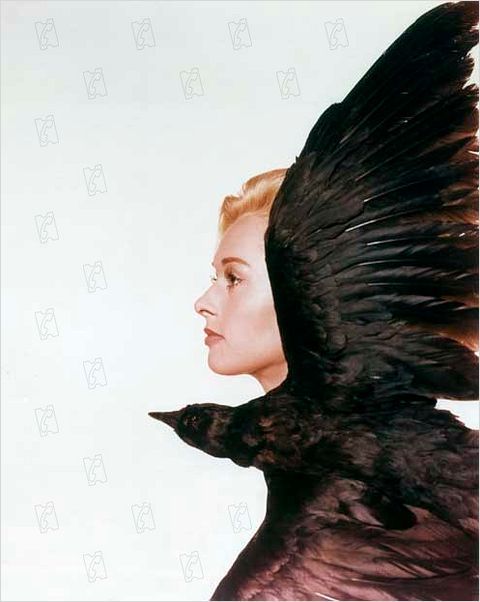 Les Oiseaux : photo Alfred Hitchcock, Tippi Hedren