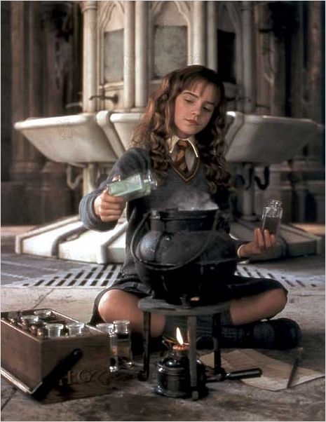 Harry Potter et la chambre des secrets : Photo Chris Columbus, Emma Watson