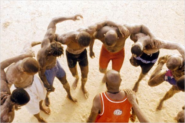 L'Appel des arènes : photo Cheikh A. N'diaye