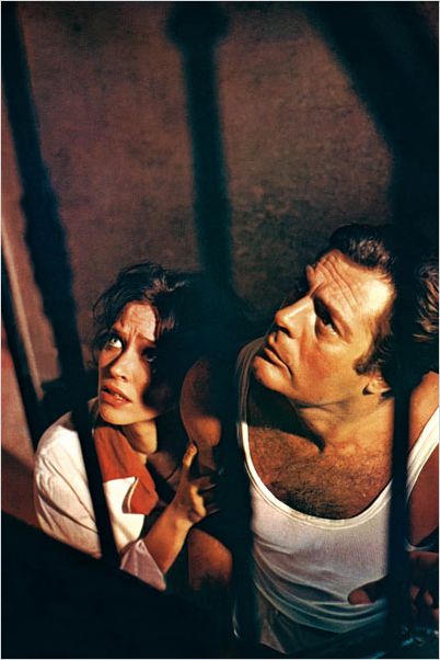 L'Etranger : Photo Anna Karina, Luchino Visconti, Marcello Mastroianni