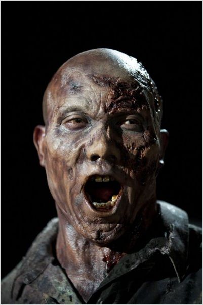 The Walking Dead : photo Hines Ward
