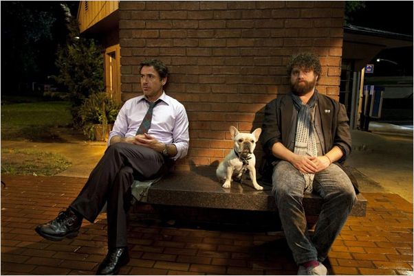 Date limite : Photo Robert Downey Jr., Todd Phillips, Zach Galifianakis