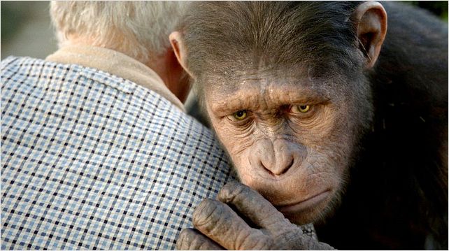 La Planète des singes : les origines : Photo Rupert Wyatt