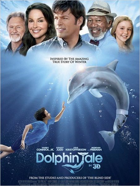 L'Incroyable histoire de Winter le dauphin : affiche