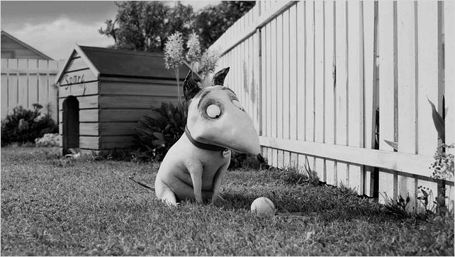 Frankenweenie : Photo Tim Burton