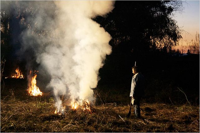 Près du feu : photo