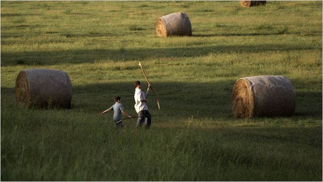 Summertime : photo