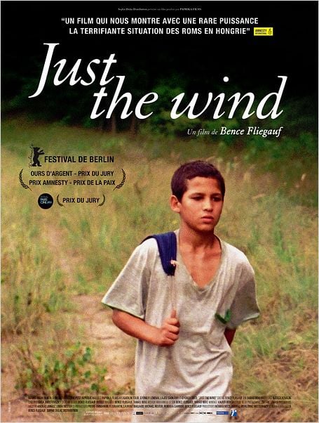 TELECHARGER Just the Wind VOSTFR DVDRip STREAMING TELECHARGER Just the Wind VOSTFR DVDRip STREAMING