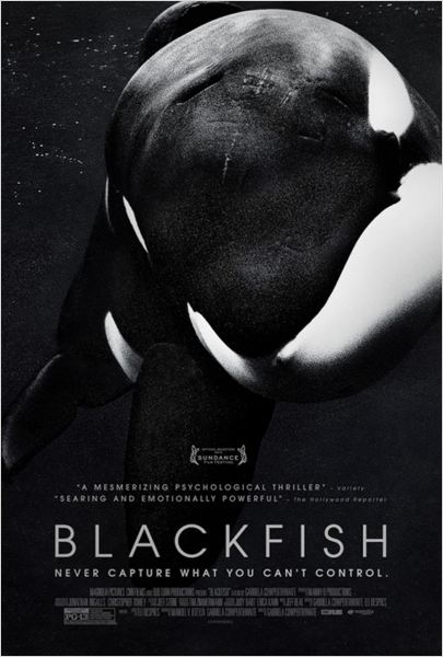 Blackfish : Affiche