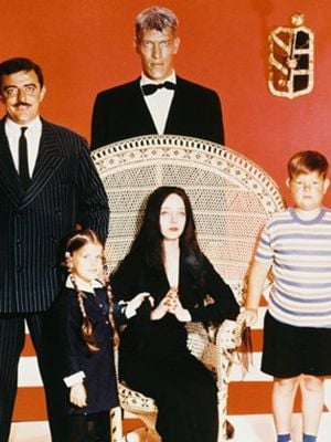 Affiche de la série The Addams Family