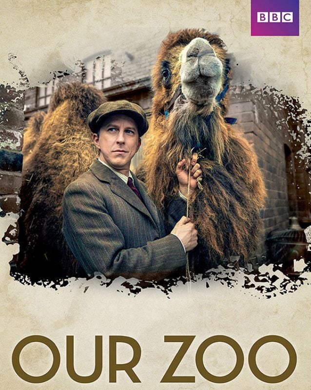 Affiche de la série Our Zoo
