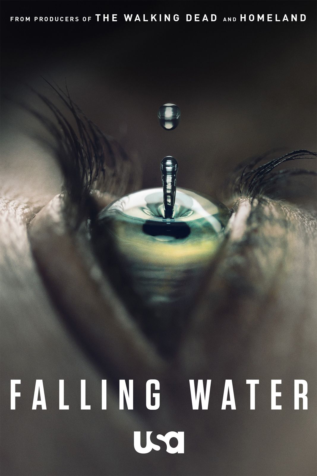 Affiche de la série Falling Water